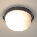Lampa sufitowa Plafon ścienny 1xE27 TRING IP44 