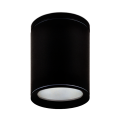 Zewnętrzna lampa oprawa sufitowa E27 IP44 TRULI.B